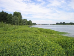 ludw_grandi_Guillaume_Doucet ludw_grandi_Guillaume_Doucet