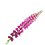 Lupinus polyphyllus 2_45x45