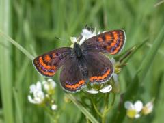 DSCN8922.JPG DSCN8922.JPG