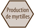 myrt