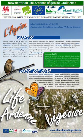 Agrion_6_minionette