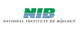NIB