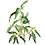 Olivier de Bohème_45x45