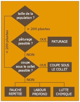 organigramme_berce