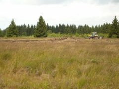 fraisage_hahnestreck