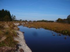 Digue Baraque Michel