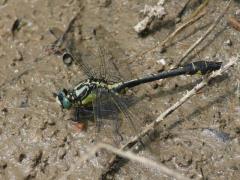 P1030131.JPG P1030131.JPG