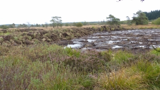 Etrepage_Pirothon_Sacrawe