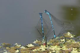 P1030845.JPG P1030845.JPG