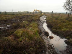 Digue_BKV_Nelles Digue_BKV_Nelles