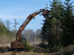 Broyage d'épicéas dans le LIFE Lomme