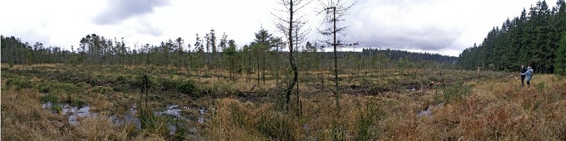 Panorama Fagne du Pouhon - côté route - mail.jpg