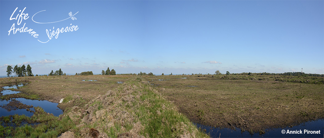 Panorama_Fraisage_Malchamps_1_an_Apres_LIFE_AL_API_9493