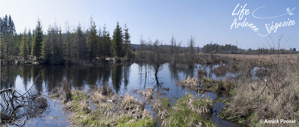 Panorama_Grande_fange_Bihain_LIFE_Al_API