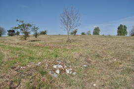 Paysages