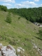 Pelouse calcaire [copyright Delescaille Louis-Marie]
