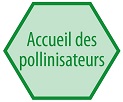 poll