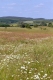 prairie maigre de fauche [copyright Wibail Lionel]
