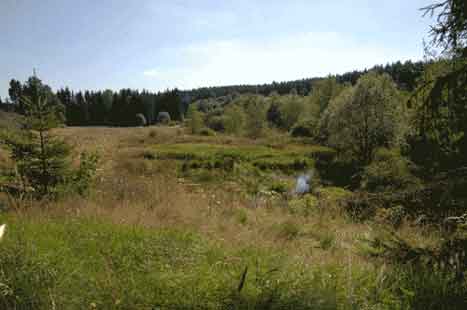 Prairie alluviale
