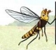 refuges_pollinisateurs2