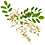 Robinia_45x45x