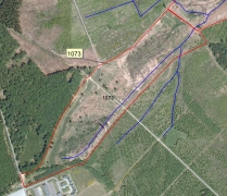 sgib 1073 - fagne de la borne ortho 2007.jpg