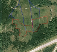 sgib 1502 - fagne de la hutte - ppnc.jpg