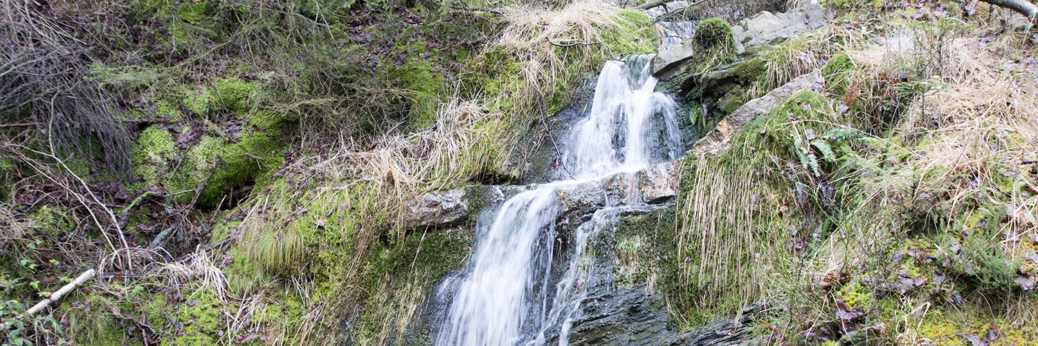 Site_33020_Eupen_Getzbach_API_0329