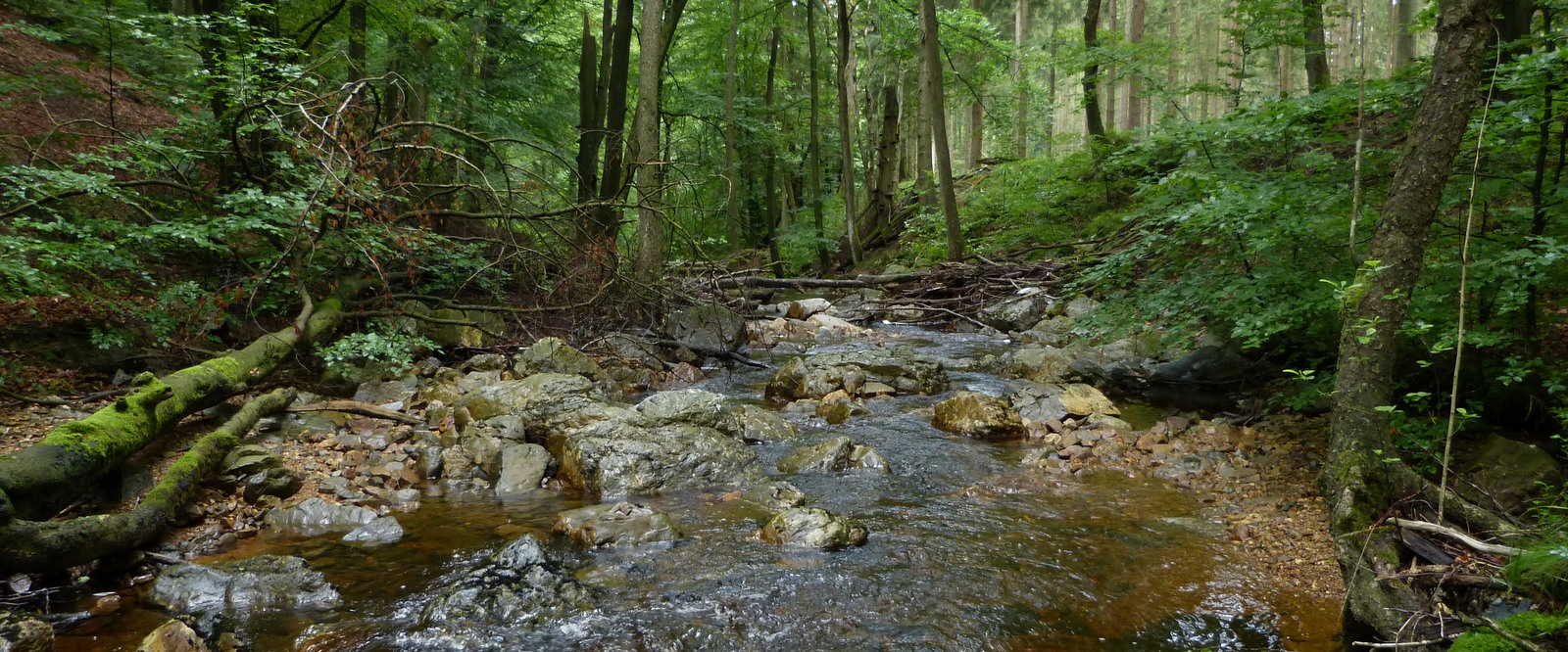 Site_33022_Gileppe_20210709_LL (18)-001