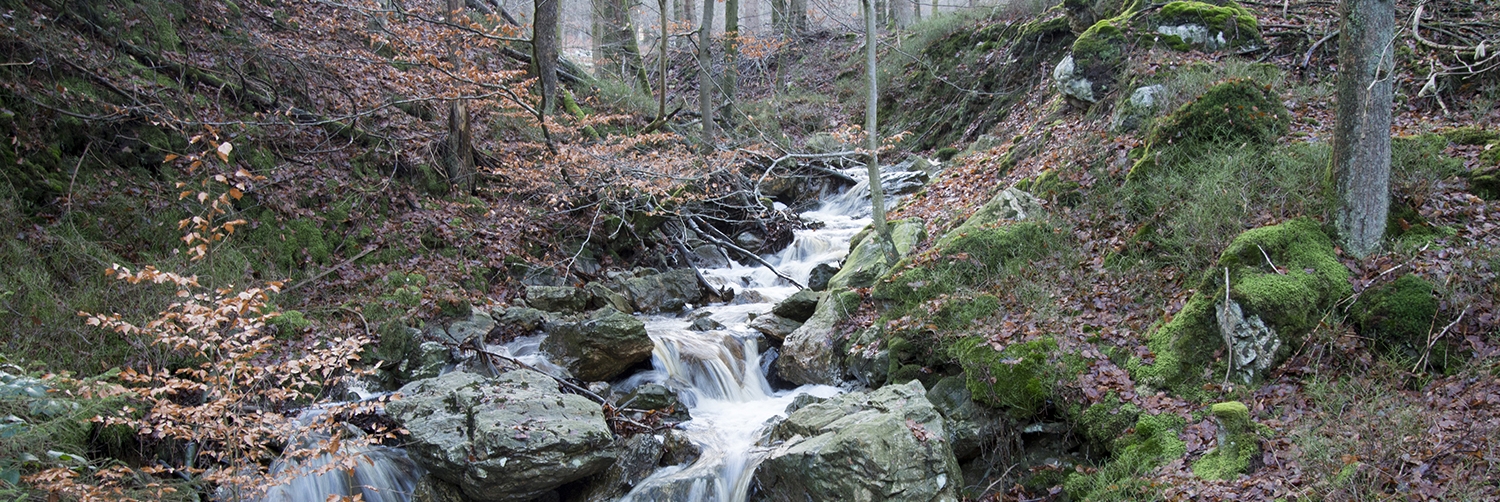 Site_33023_Soor_Affluent_Soor_API_0341