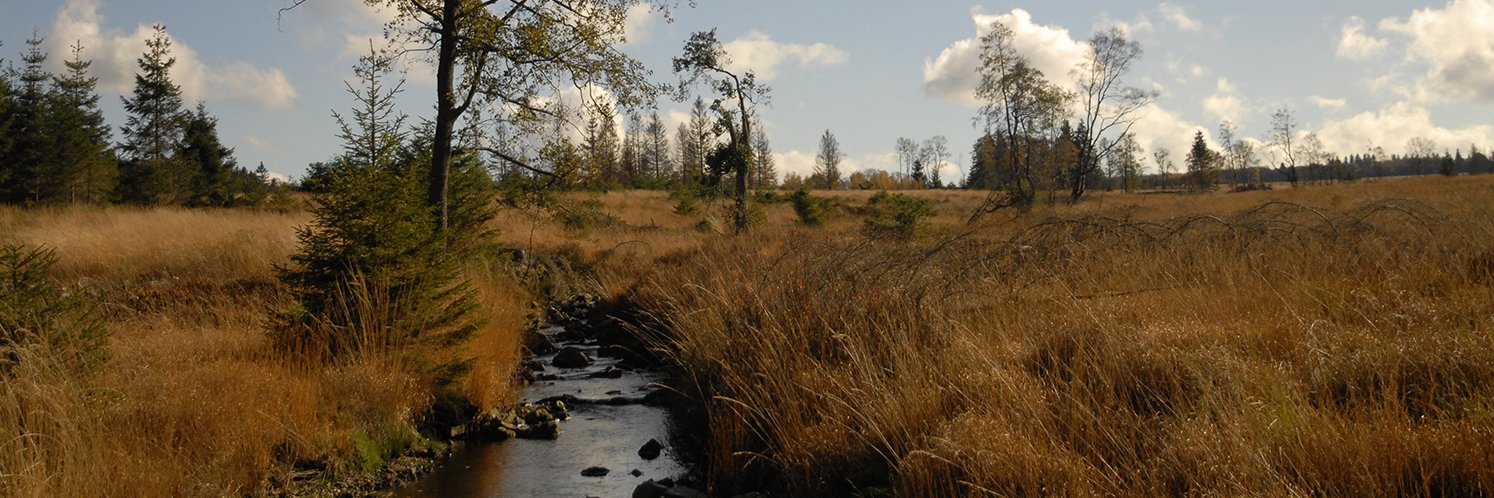 Site_33023Soor_API2821 (2)