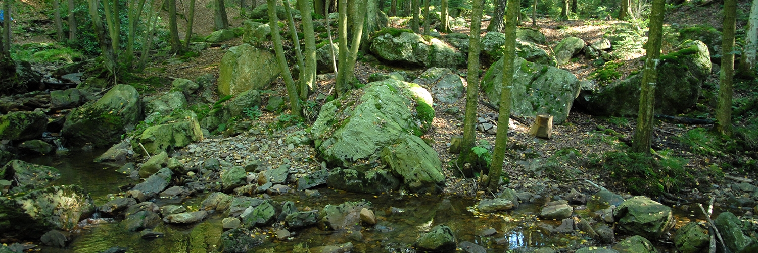 Site_33028_Ambleve_Targnon_Remouchamps_Chefna_API_5715