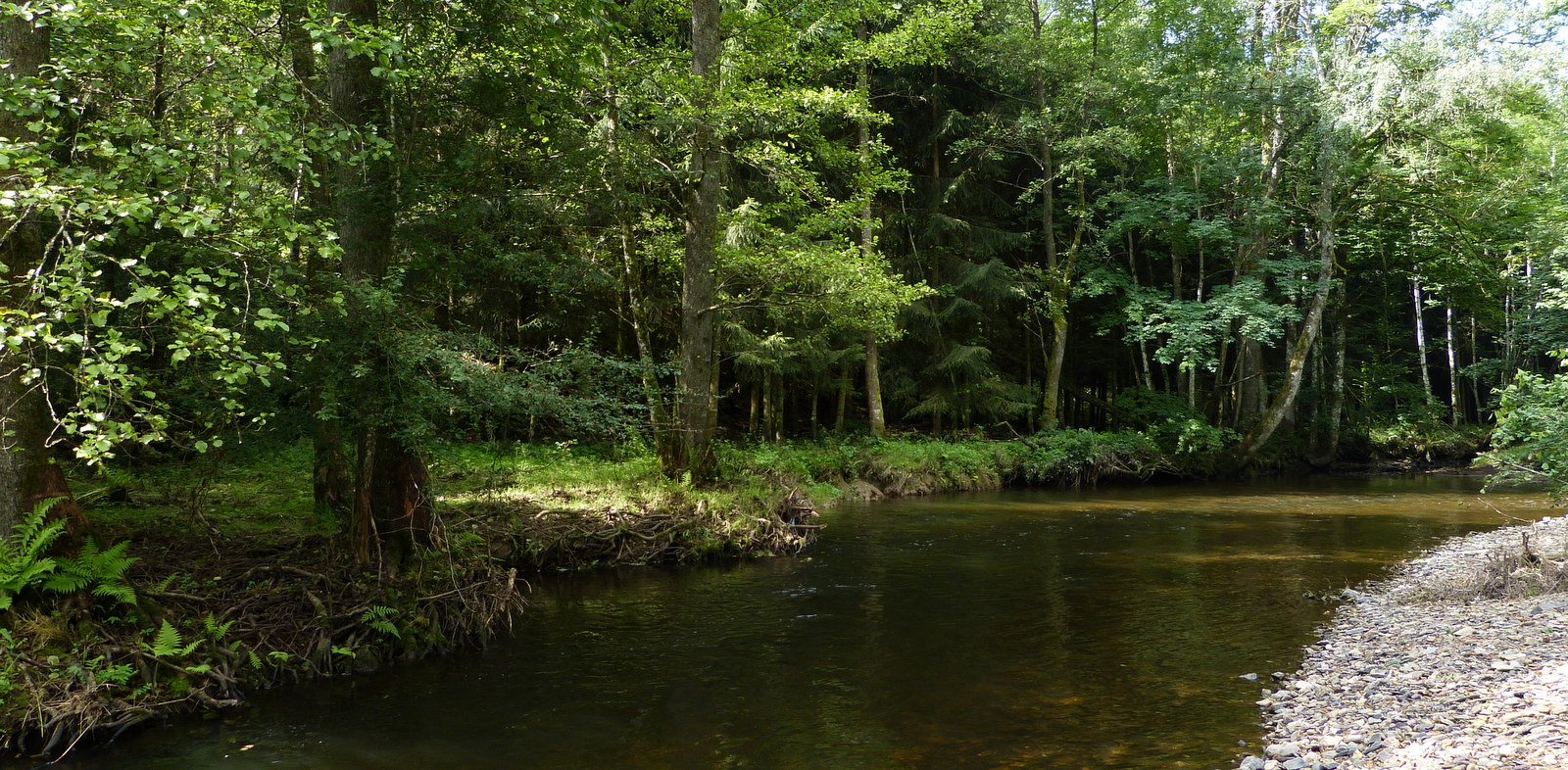 Site_33029_Basse_vallee_Lienne_inondations_20210811_LL (4)