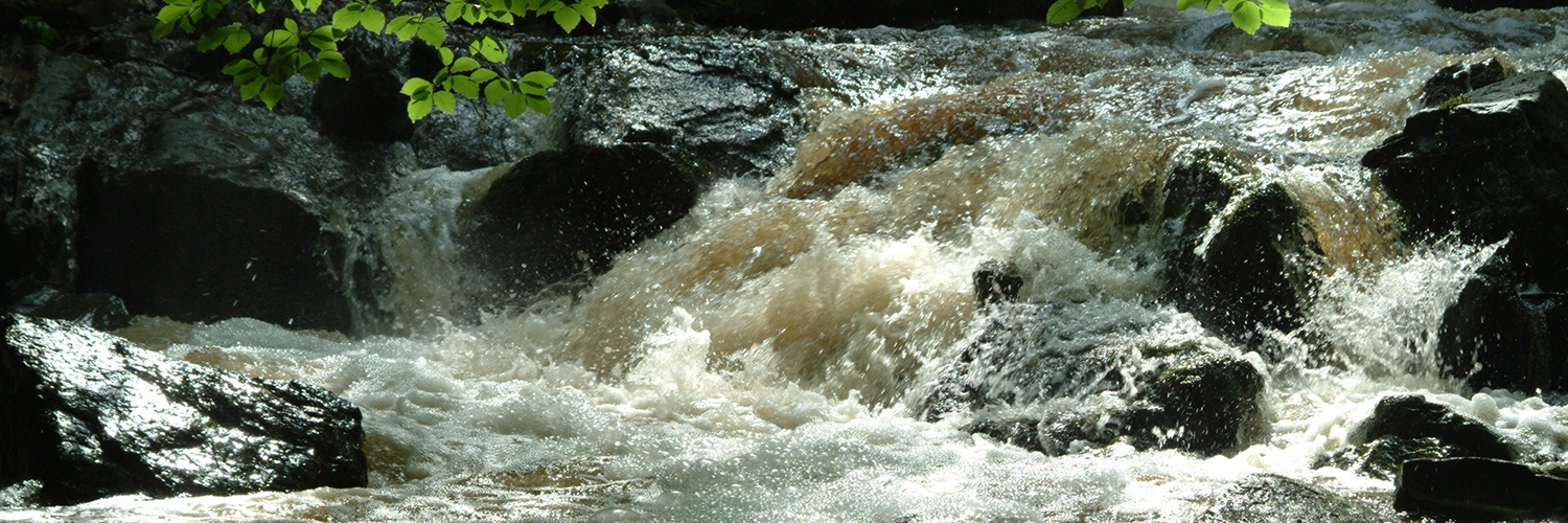 Site_33034_Vallee_Hoegne_Sawe_(2)_Api