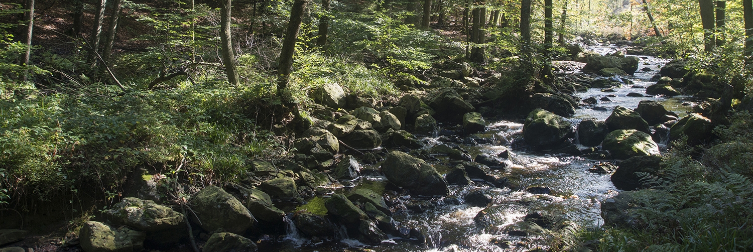 Site_33040_Stavelot_Eau_Rouge_Hoegne_API_6975-001