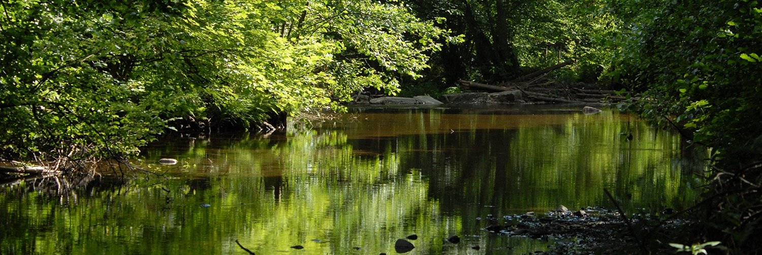 Site_33042_Warche_Bayehon_Warche_Api