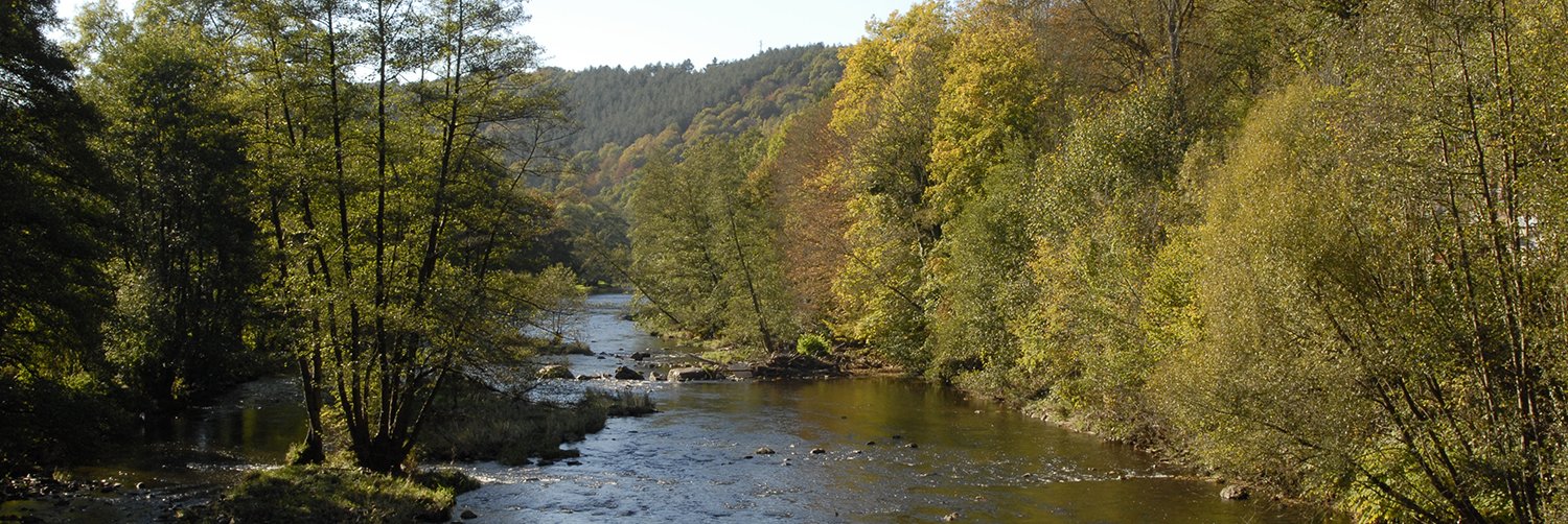 Site_33051_Ambleve_Wanne_Coo_Ambleve_API7055 (7)