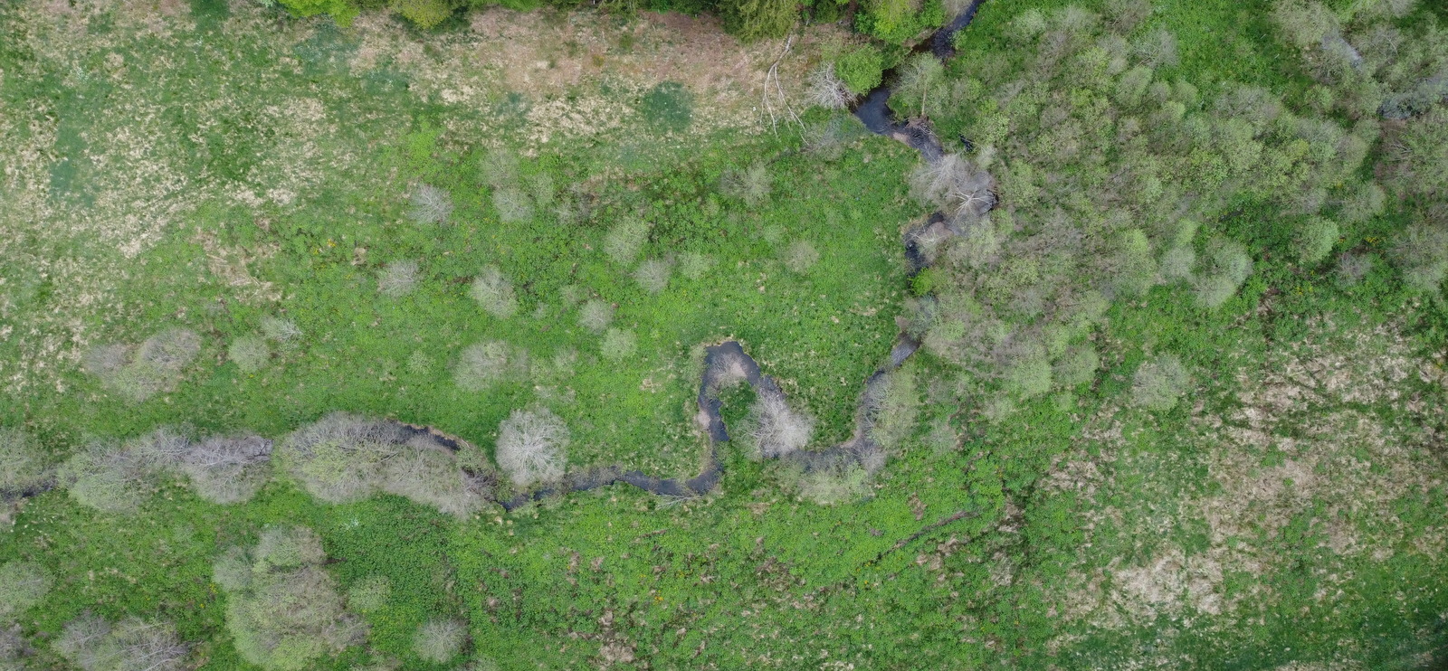 SITE_33057_Kolvenderbach_20220518_LL (4)