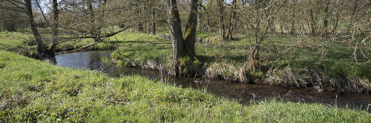 Site_33060_Haute_Lienne_Lienne__Aulnaie_Habitat_API_3962-001