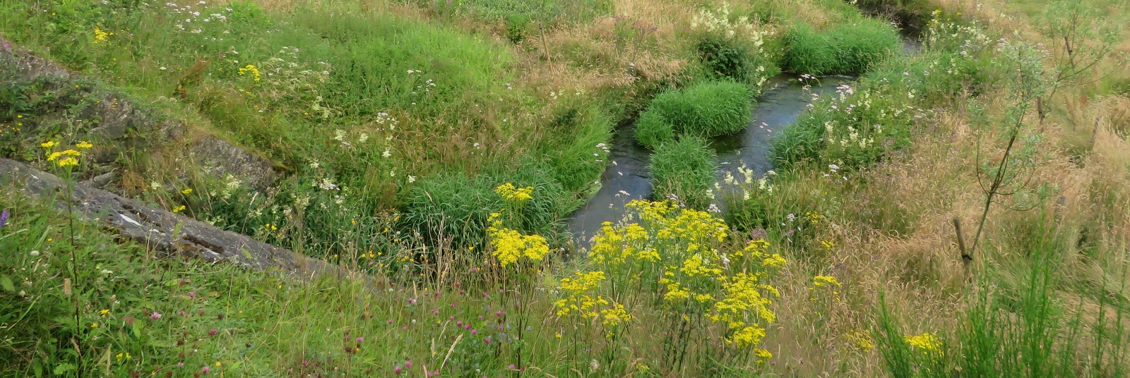 Site_BE34031_Rau_du_Laval_RND_Magery_NC