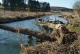 DSCF0609.JPG