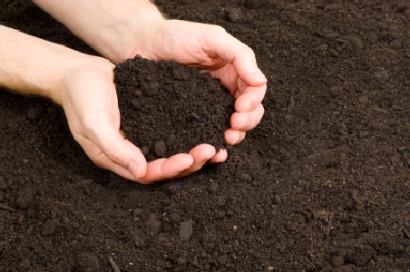 Sol Biodiversité
