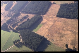 Dia 015 du PCD 1417 de Duchesnes Dia 015 du PCD 1417 de Duchesnes