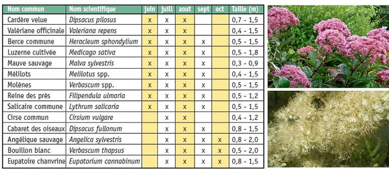 tableau alternatives2