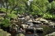 Les cours d'eau
