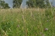Prairies HVB DSC_2087