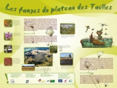 Panneau explicatif des tourbières sur le projet LIFE Plateau des Tailles Panneau explicatif des tourbières sur le projet LIFE Plateau des Tailles