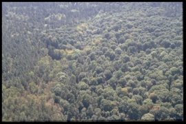 Dia 071 du PCD 1434 de Duchesnes Dia 071 du PCD 1434 de Duchesnes