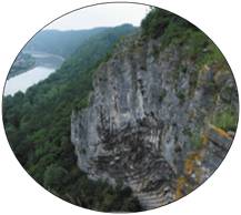 végétation des rochers siliceux