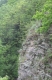 H3.1b - Végétation des fentes de rochers siliceux moins acides, dolomitiques